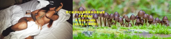 СК Алзамай