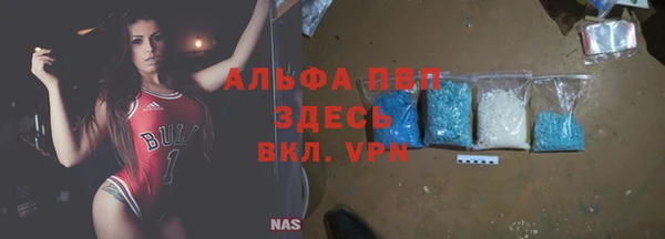 СК Алзамай