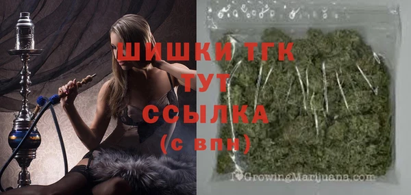 СК Алзамай