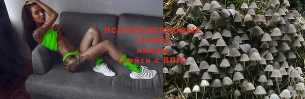 СК Алзамай